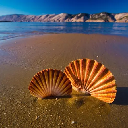 アパート In With Terrace, Air Conditioning, Wi-fi, Dishwasher ロパール