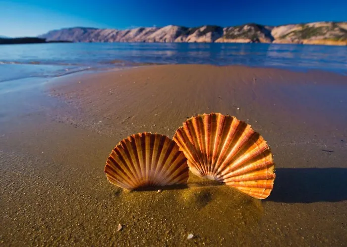 Appartamento In With Terrace, Air Conditioning, Wi-fi, Dishwasher Lopar